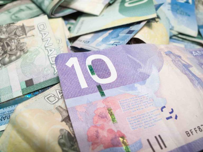 Canadian money used to show expenses